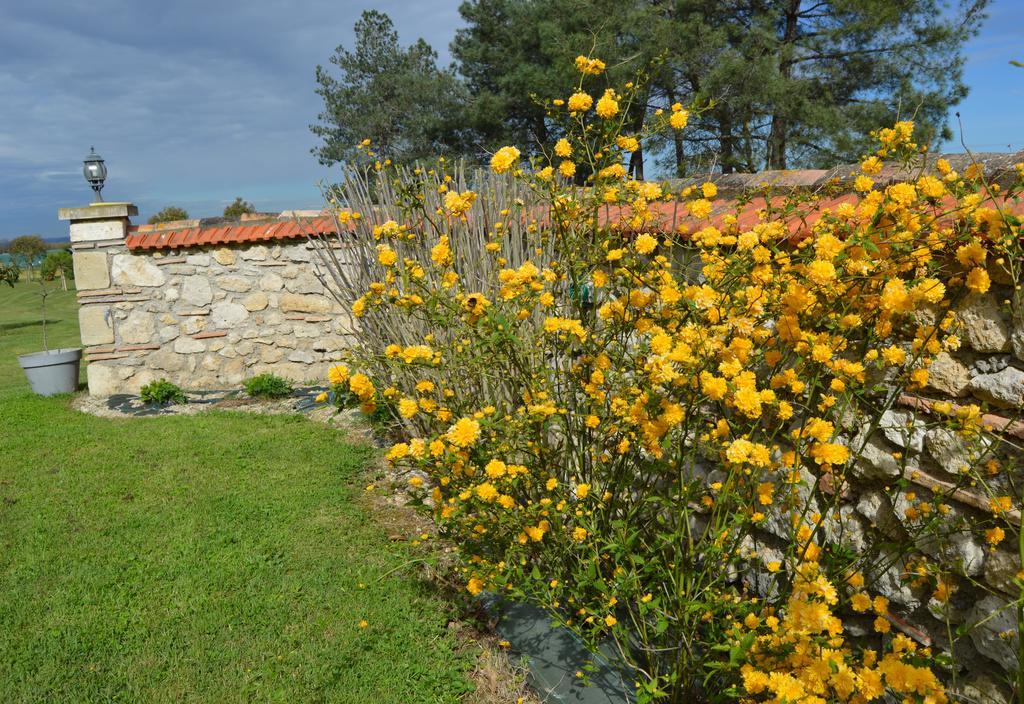Le Coteau de Bazeille Spa&Sauna Sainte-Bazeille Buitenkant foto